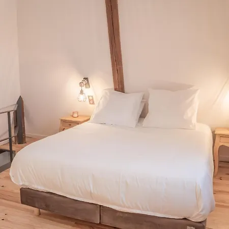 公寓 Chateau Du Parc - Gites Climatises & Spas A Pezenas 佩兹纳斯