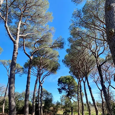 Apartment Chateau Du Parc - & Spas A Pezenas