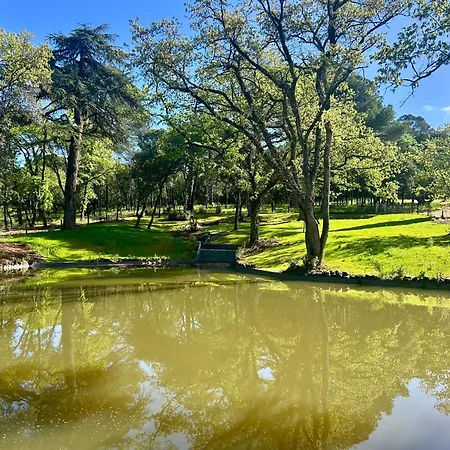 Chateau Du Parc - & Spas A Pezenas