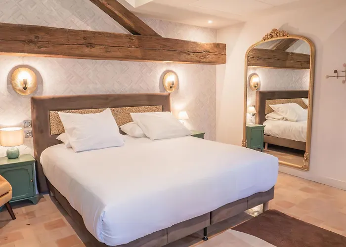 Chateau Du Parc - & Spas A